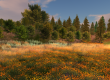 Second_Life_Landscape_champ_des_fleurs.png